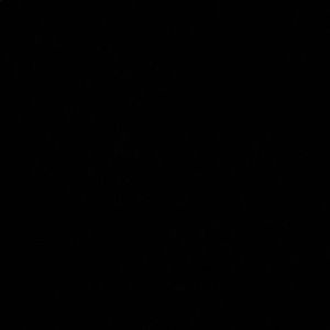 Meet your Posher, Kelley